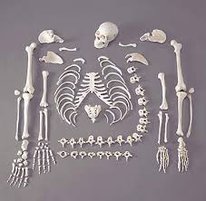 free printable skull tattoos