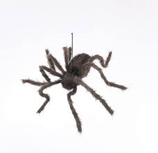 giant halloween spiders