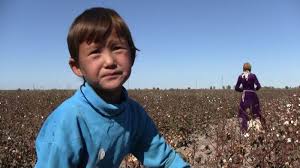 pick cotton