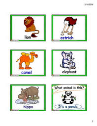 animals flash cards