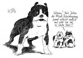cartoon pitbull