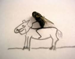 fly arts