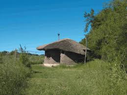 natural house