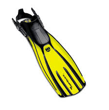 divers fins