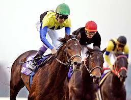 hipodromo camarero