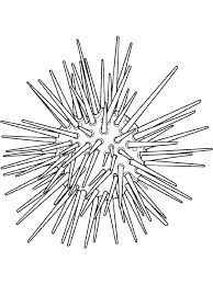dibujos de mar