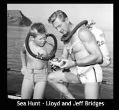 sea hunt