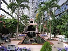tropical oasis