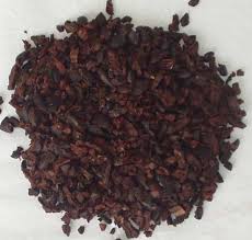 cocoa nib