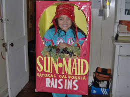 cardboard box halloween costumes