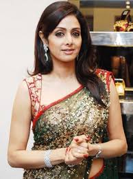 saree and blouse