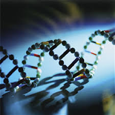 dna strands