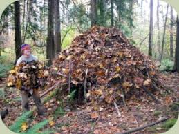 wilderness shelters