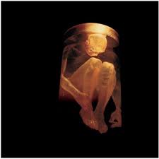 Alice In Chains - Nothin