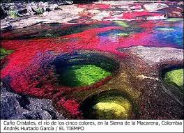 rio de colores