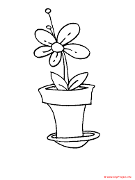 hp shower printable