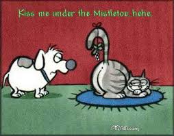 castroville texas christmas