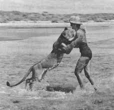born free joy adamson