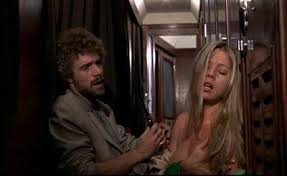 terror express dvd