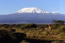 kilimanjaro photo