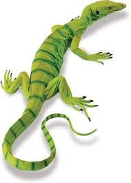 lizard toy