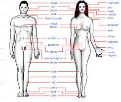the worst case scenario printable online