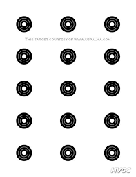 air gun targets