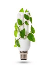 eco friendly lights