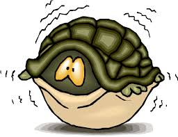fear turtle