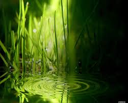 Wallpaper Nature 1280