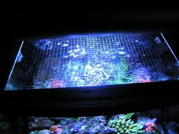 pond screen