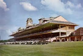 turf club