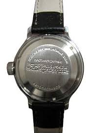 amphibia watches