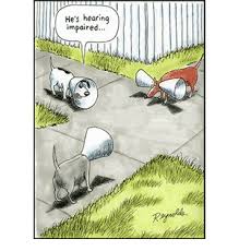 hearing impared