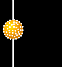 New Years Ball Drop