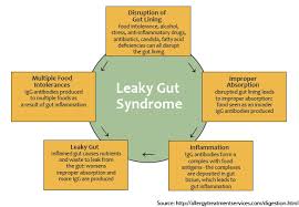 leaky gut syndrome