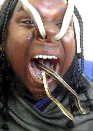 snake pictures