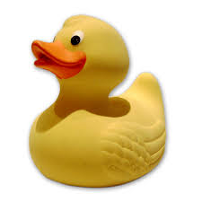 gambar bebek
