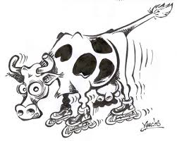 dessin vache
