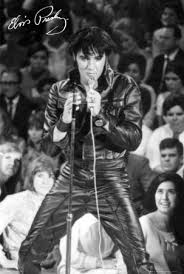 Elvis Presley - Return Of The Rocker