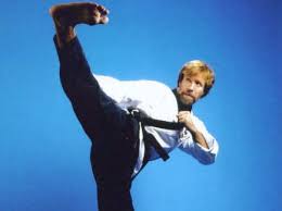 sidekicks chuck norris