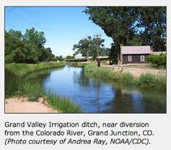 real estate continuing ed colorado