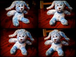 socks dog