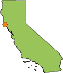 brake repair and orange county california