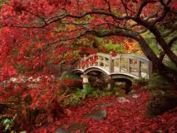 japanese garden photos