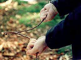 divining rod