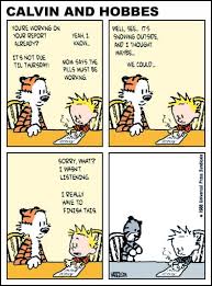 calvin and hobbes stuffed tiger