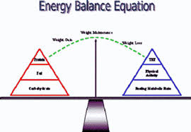 energy balance