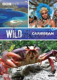 bbc wild caribbean
