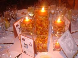 orange orchids